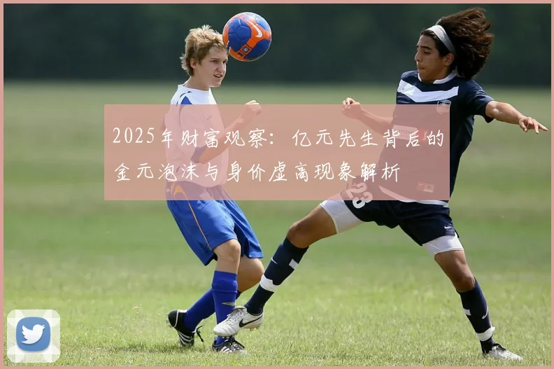 2025年财富观察：亿元先生背后的金元泡沫与身价虚高现象解析