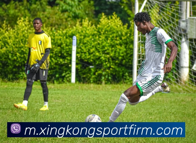 App Interface Preview