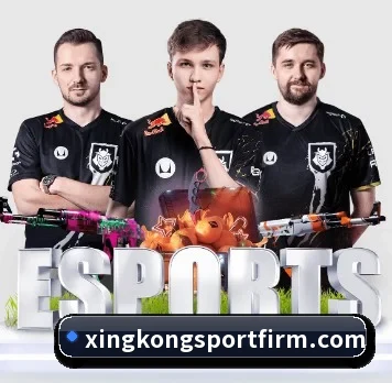 五大服务分区,信息按项目分类（xingkong）