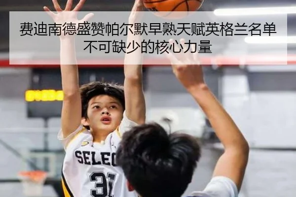 费迪南德盛赞帕尔默早熟天赋英格兰名单不可缺少的核心力量 | xingkong
