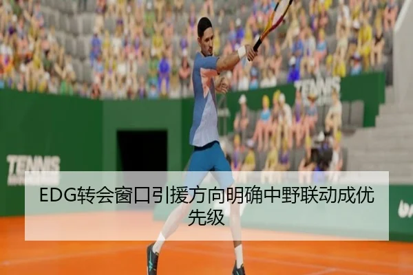 EDG转会窗口引援方向明确中野联动成优先级 | xingkong